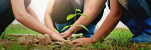 Agile Sustainability Initiative Banner