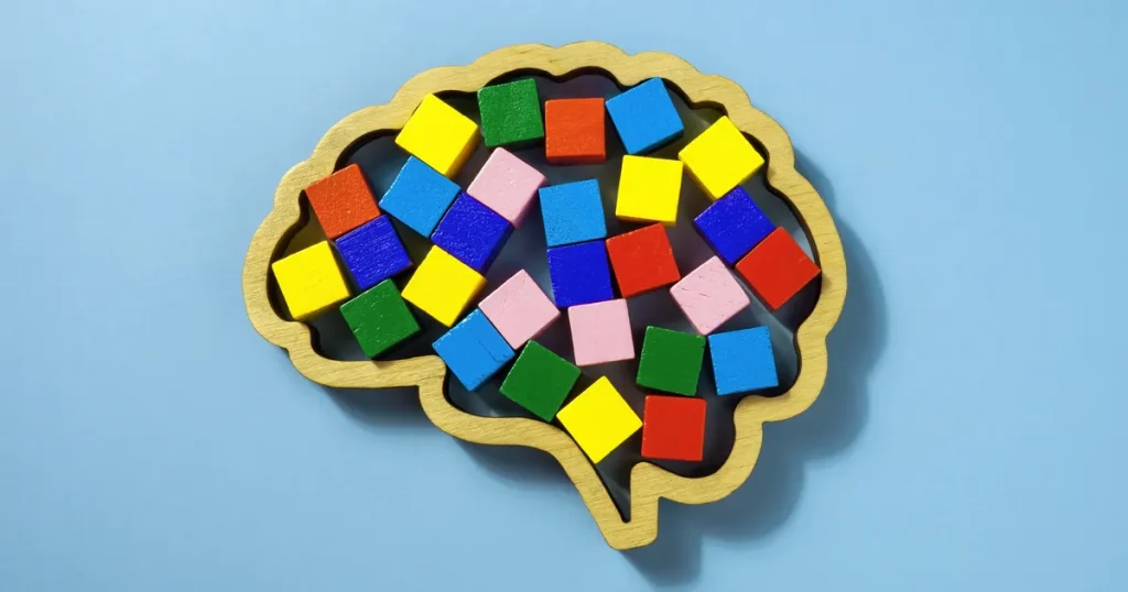 Photo of a wooden puzzle frame in the shape of a human brain containing a number toy blocks in various bright colors