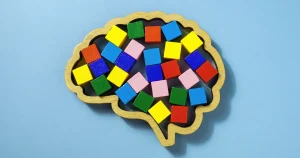 Photo of a wooden puzzle frame in the shape of a human brain containing a number toy blocks in various bright colors